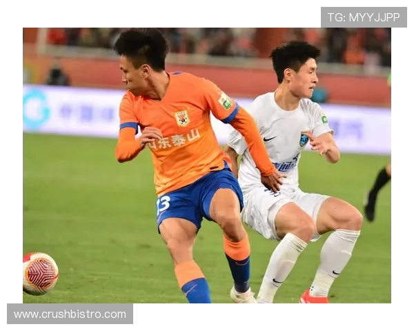 中国队历史排名走势清晰，近年表现稳健