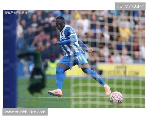 布莱顿中场组织