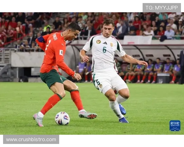 世界杯欧洲区预选赛葡萄牙