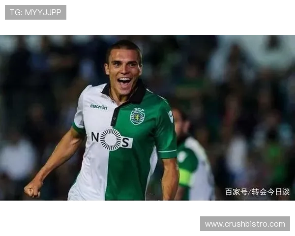 帕利尼亚大范围覆盖能力解析