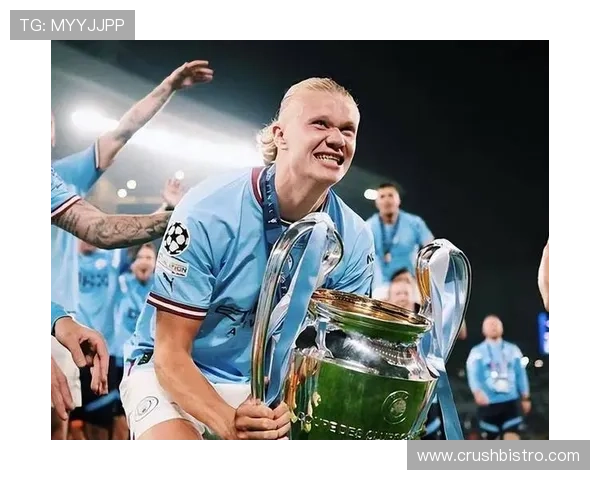 哈兰德英超纪录赛季历史定位：是否达到传奇级别