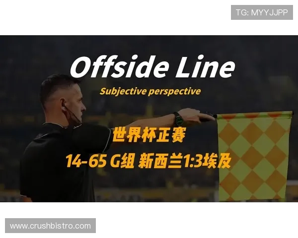 埃及3-1新西兰回顾：G组第二轮关键胜利